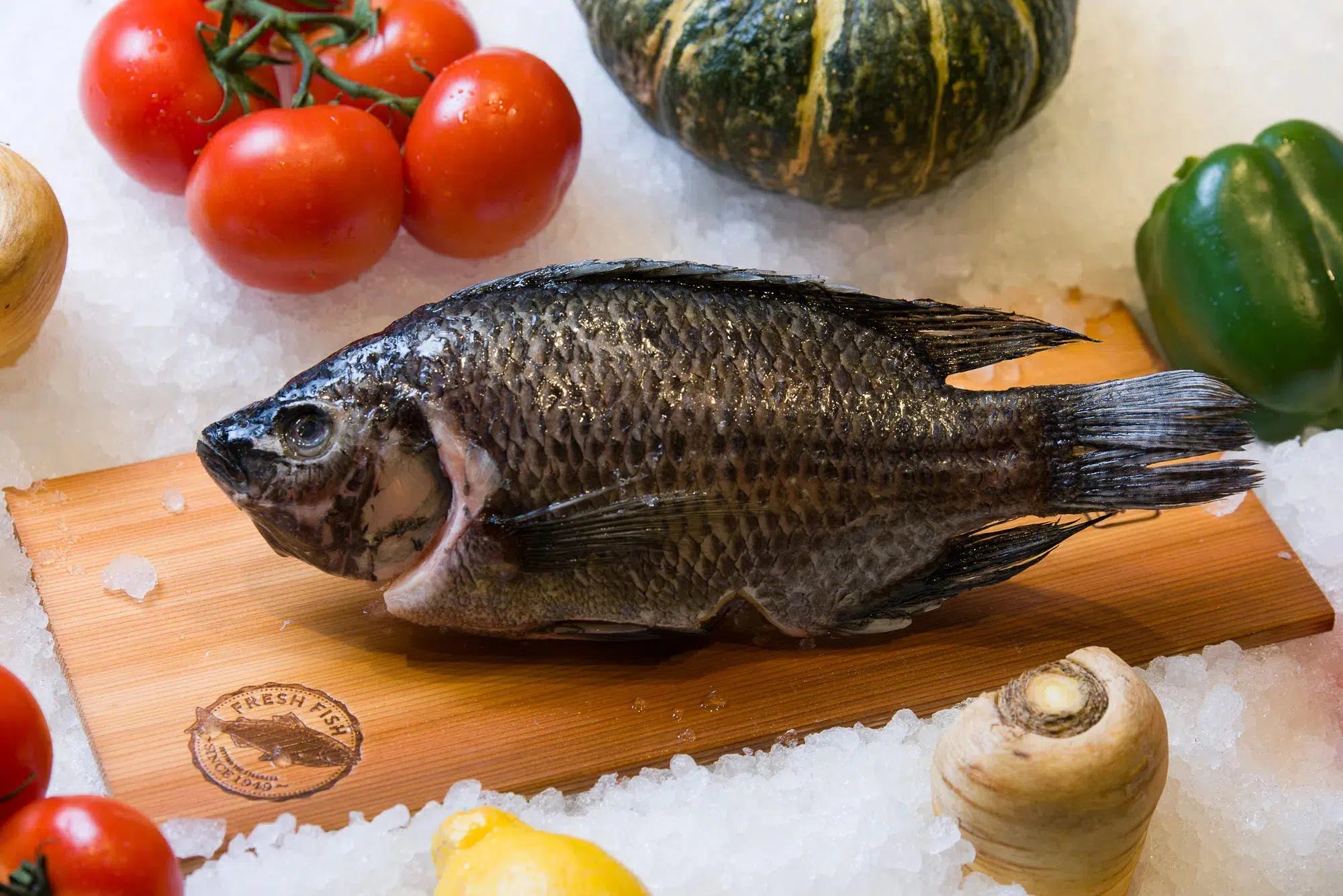 St. Peter Tilapia Whole (Frozen)