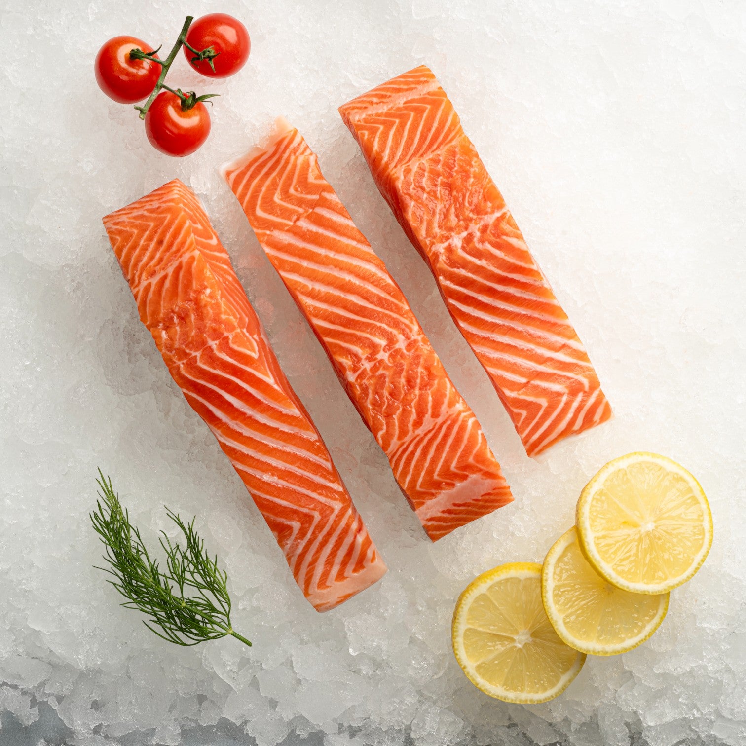 Salmon Fillet Live (Passover)