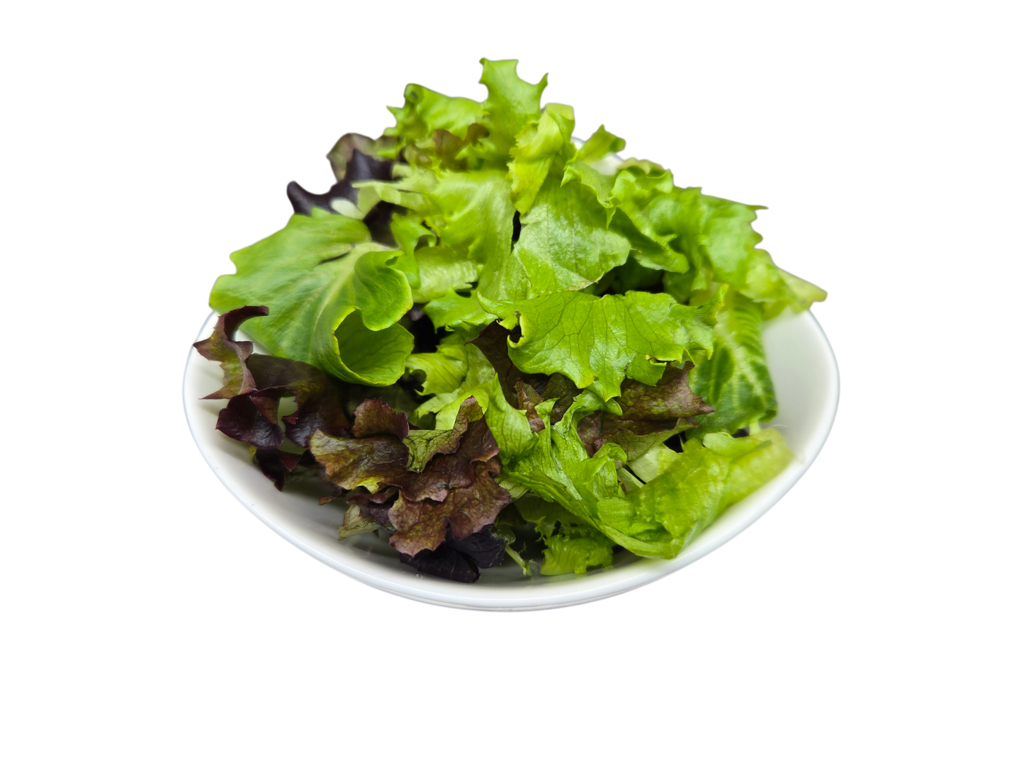 Salad 24oz Bowl