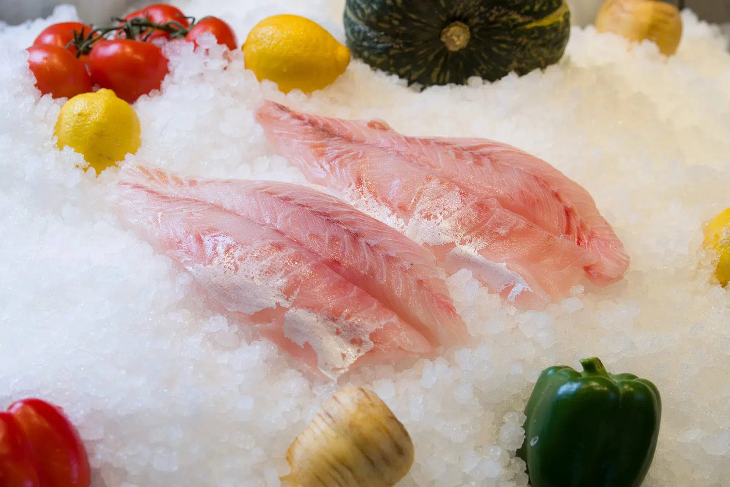 Nile Perch Fillet