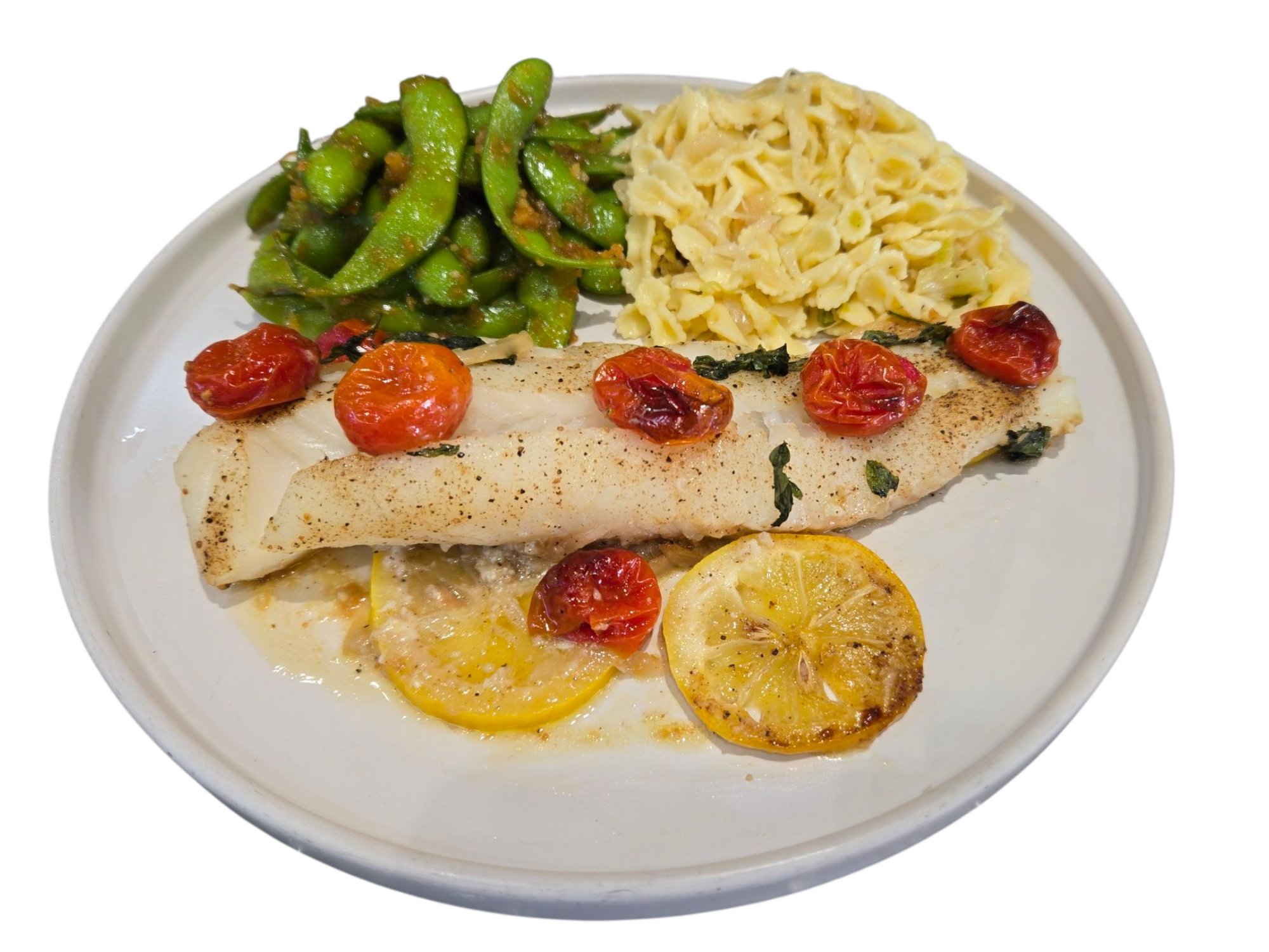 Fish Of The Day