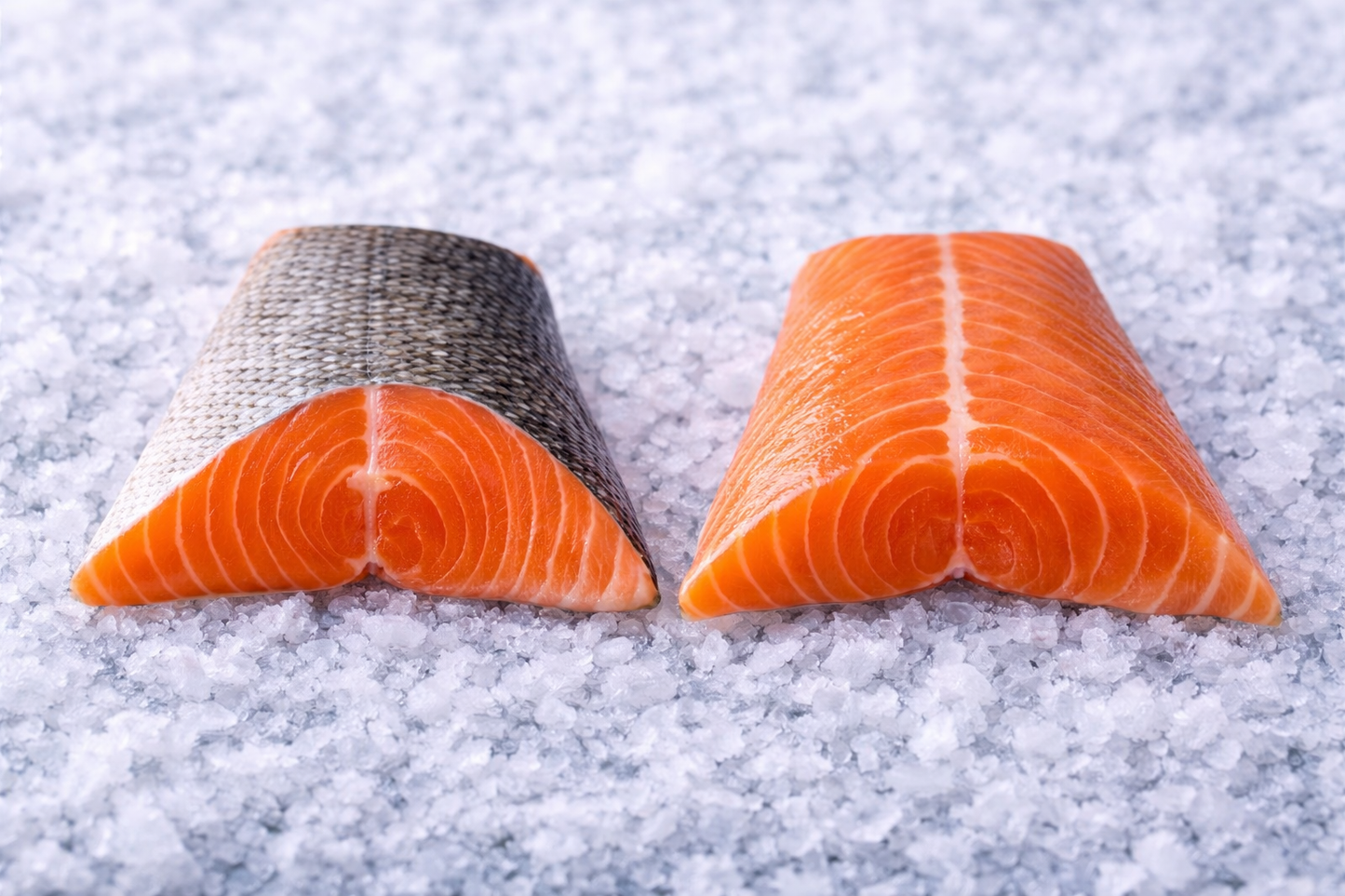 Salmon Tail Fillet Options