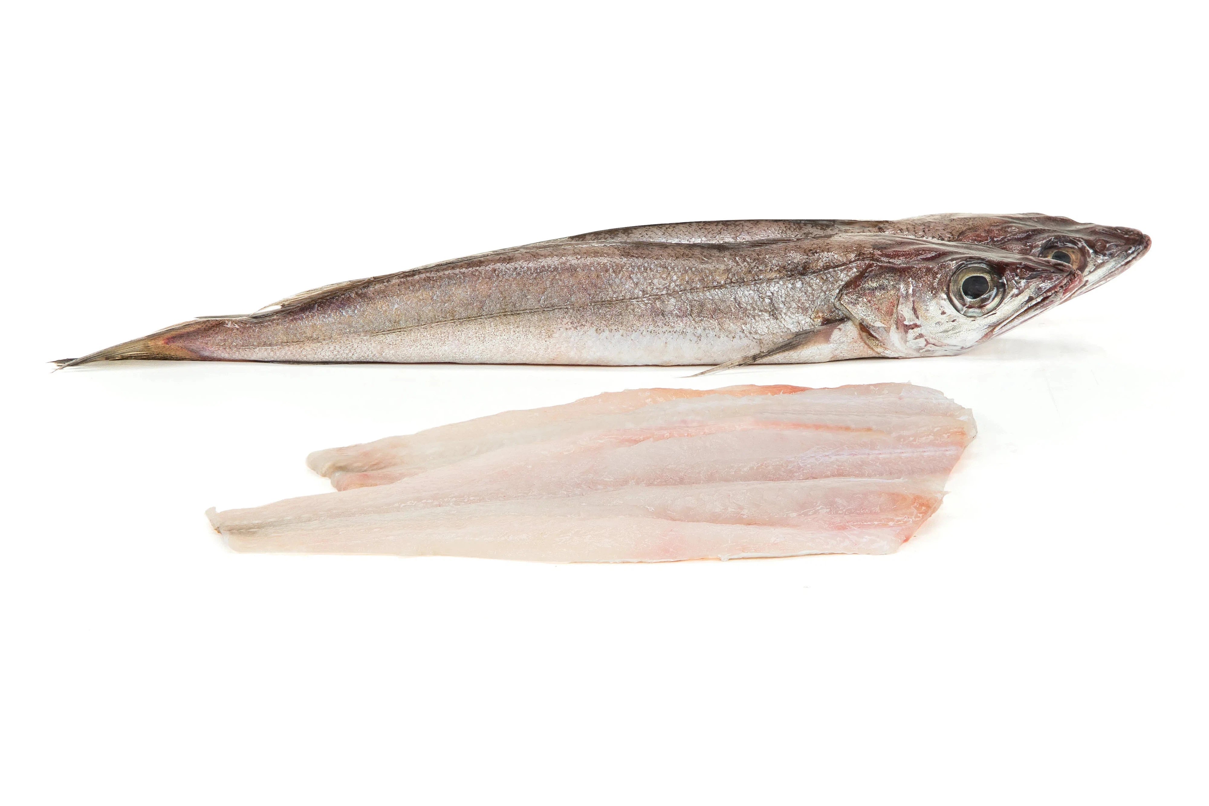 Whiting Fish Butterfly (Frozen)