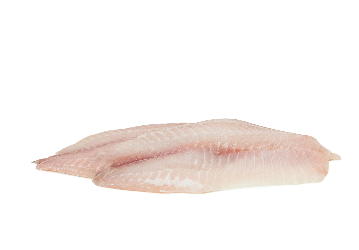 Tilapia Filet